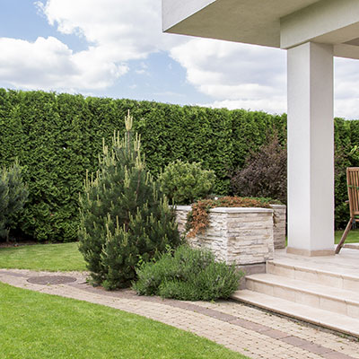 Terrace with garden furniture